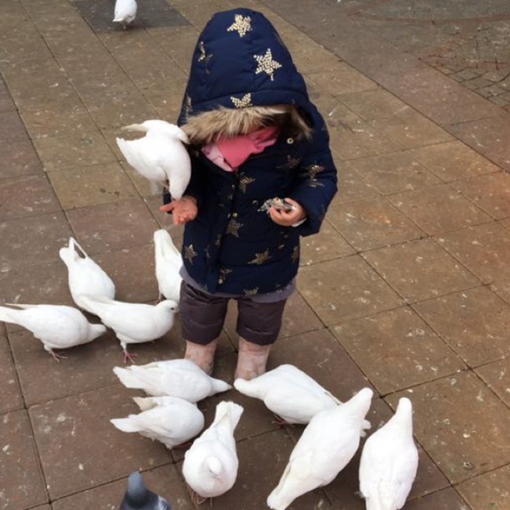 Meet your Posher, Jiayu